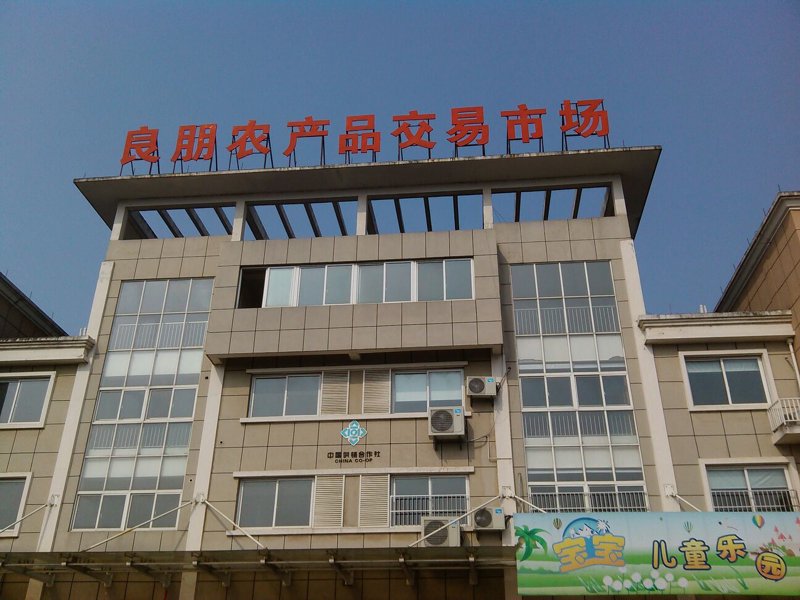 无公害蔬菜选购宝典：清新你的餐桌