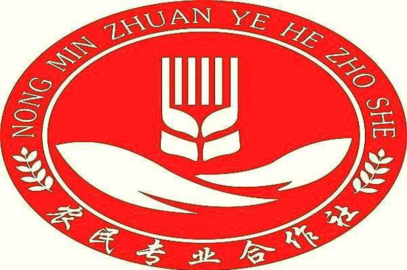 选择绿色生活：无公害蔬菜与普通蔬菜的对比评测