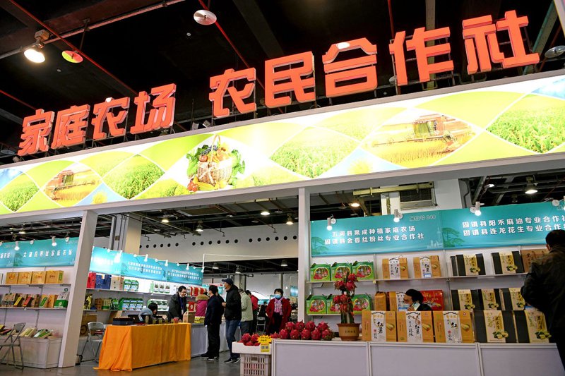 让餐桌更健康的6个小技巧——打造无公害蔬菜