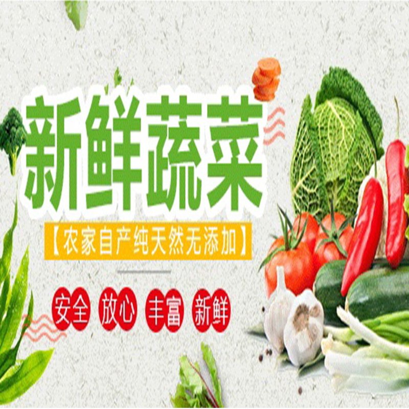 大棚种植技术更新：如何轻松应对市场变化